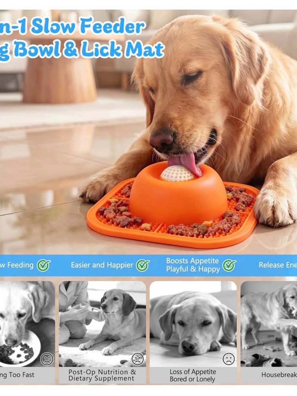 Dog Bowl  - Orange